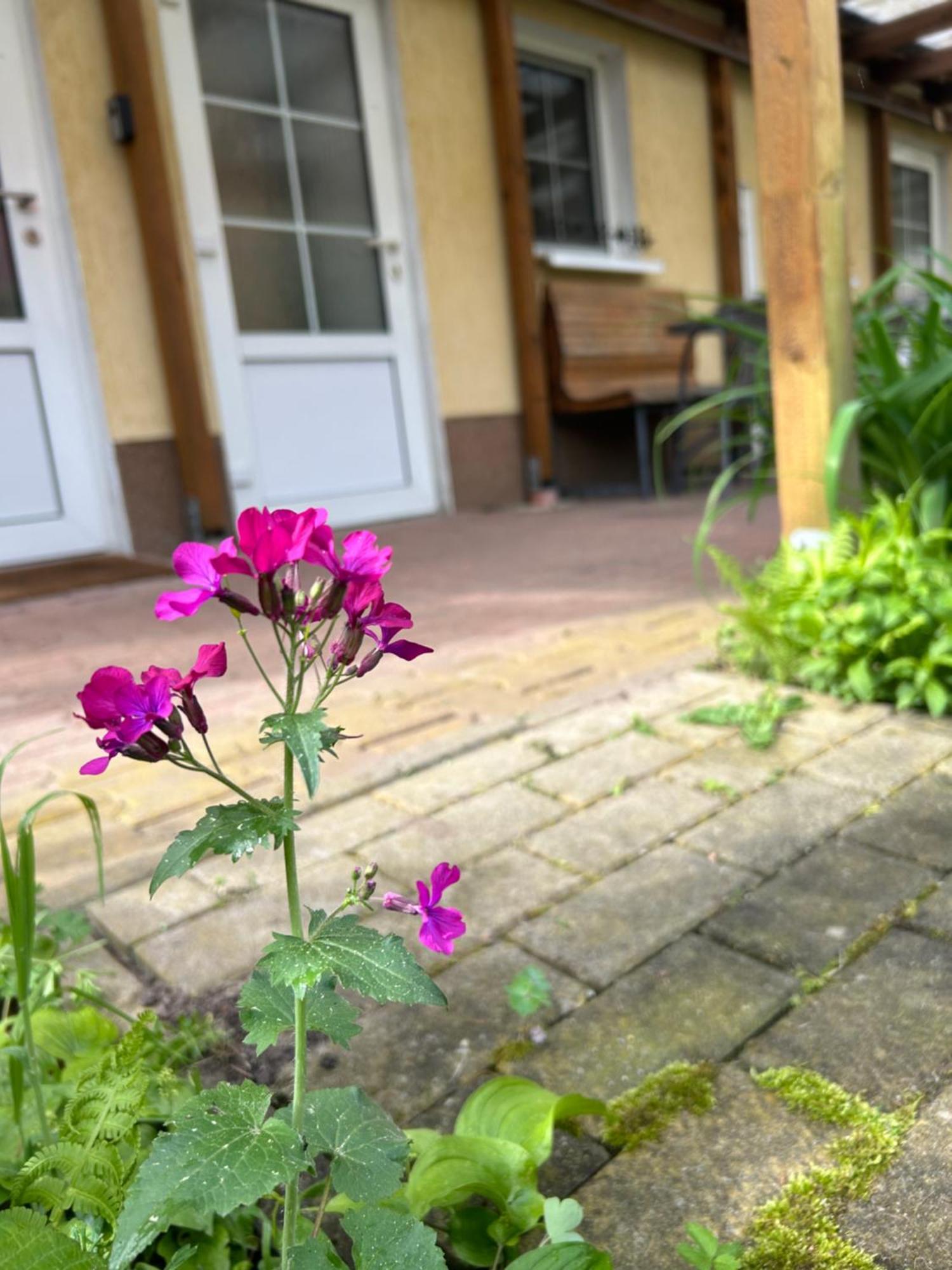 Gemuetliche Wohnung Landlust In See-Naehe Tauche Exterior foto